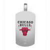 Chicago Bulls