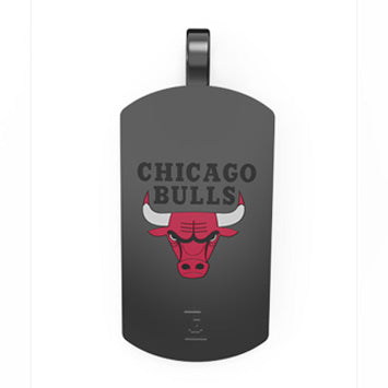 Chicago Bulls